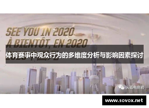 体育赛事中观众行为的多维度分析与影响因素探讨