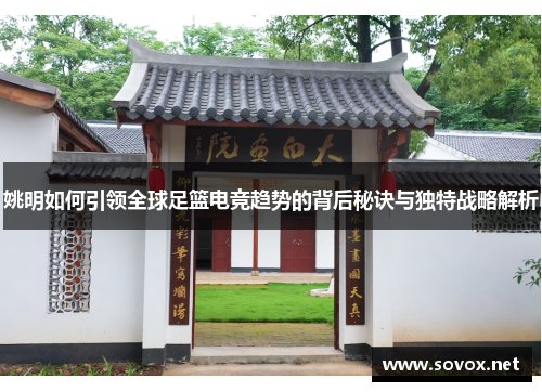姚明如何引领全球足篮电竞趋势的背后秘诀与独特战略解析