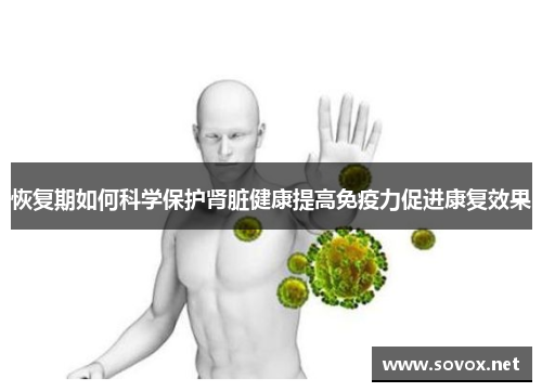 恢复期如何科学保护肾脏健康提高免疫力促进康复效果