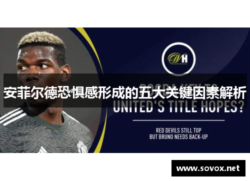 安菲尔德恐惧感形成的五大关键因素解析