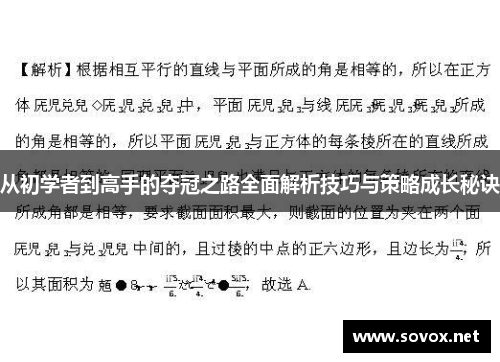 从初学者到高手的夺冠之路全面解析技巧与策略成长秘诀