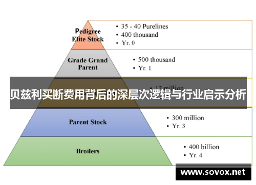 贝兹利买断费用背后的深层次逻辑与行业启示分析 贝兹利买断费用背后的深层次逻辑与行业启示分析