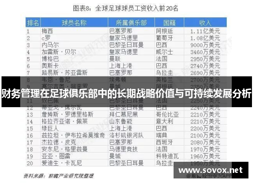 财务管理在足球俱乐部中的长期战略价值与可持续发展分析 财务管理在足球俱乐部中的长期战略价值与可持续发展分析