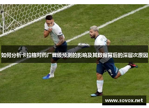 如何分析卡拉格对药厂晋级预测的影响及其数据背后的深层次原因